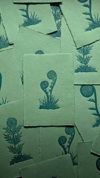 Image 1 of Uncoiling Ferns 