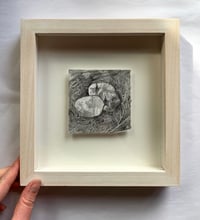 Honesty Drawing - original graphite drawing