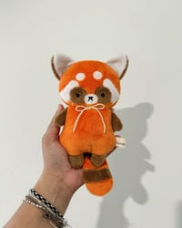 Image 1 of Red Panda Baby