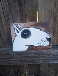 Image 9 of Bull Terrier Portrait 