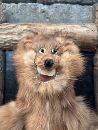 Image 3 of Freaky On A Log