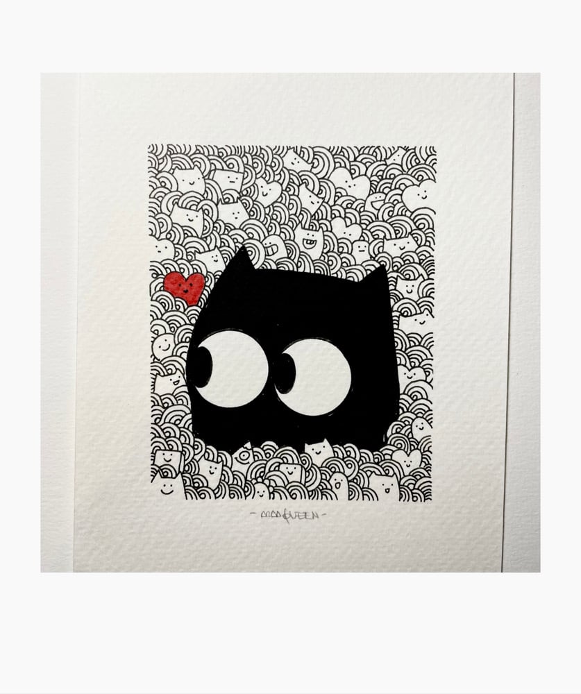 Image of Confused Cat!?!