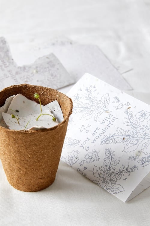 Image of You are so very loved.