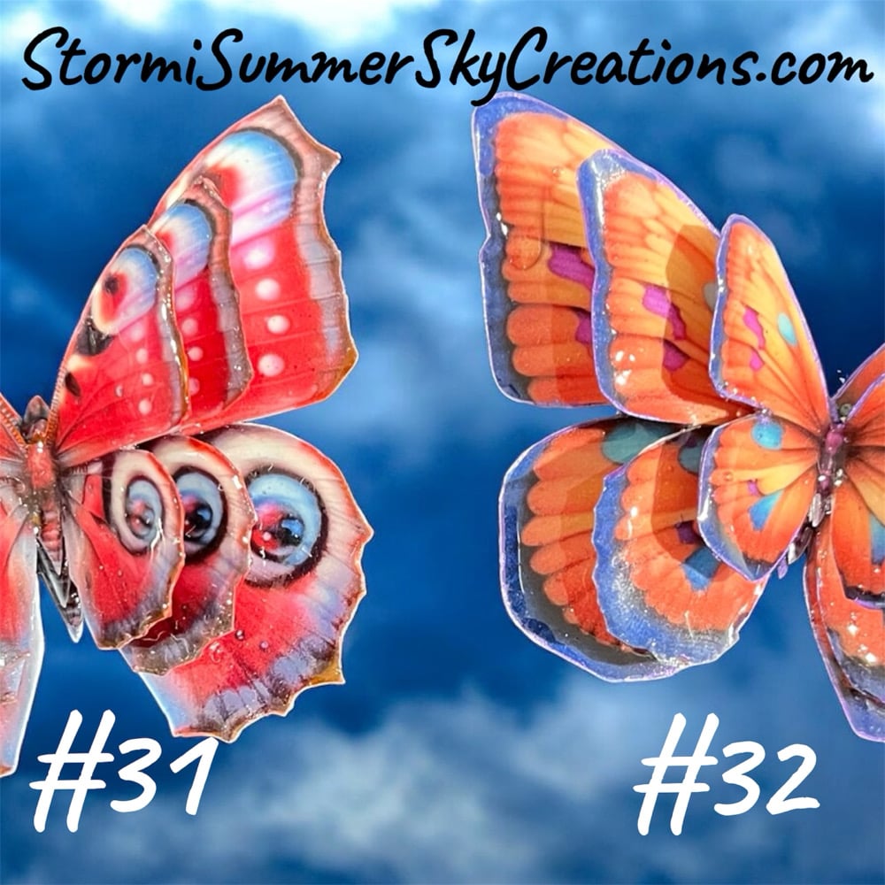 Image of Multiple Butterflies