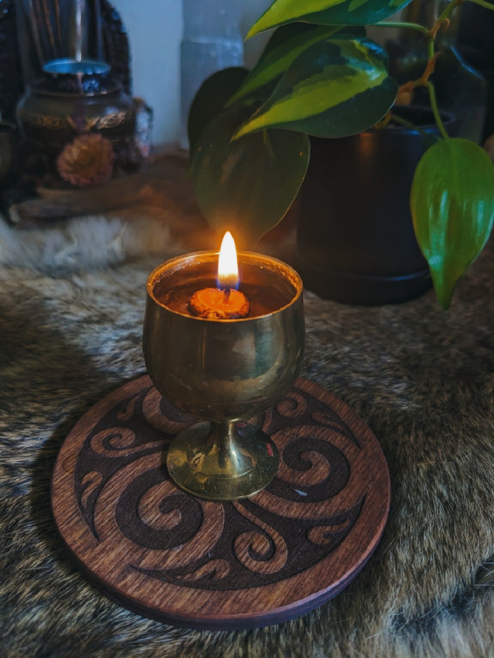 Image of Acorn Candle Set