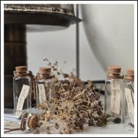 Image 1 of Whispered Words keepsake vials