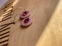 Image 4 of Spring Penny Flowers 