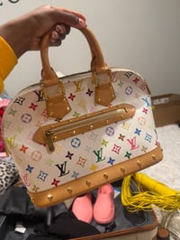 Colorful LV BAG