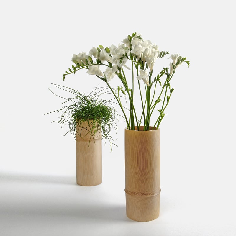 Image of Setting 001 (bamboo vase)