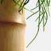 Image of Setting 001 (bamboo vase)