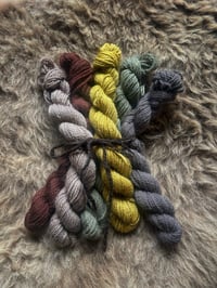 Image 1 of Mini Bundle #1 - 100G Hand Dyed Kent Romney Mini Skeins 