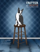 Image of Critter of the Month Boston Terrier Poster