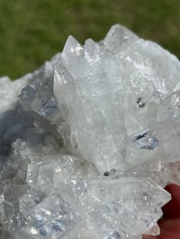 Image 2 of Glass Apophyllite Specimen | India #3041