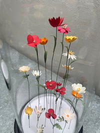 Image 2 of Jardin intérieur, fleurs sous cloche XL -3