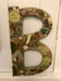 Image of Custom Letter B Nature Inspired Reserved For Shelby