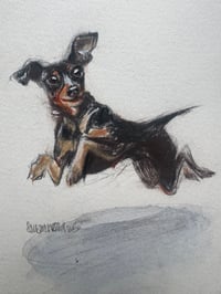 Commission a larger A4 Sribble Dog