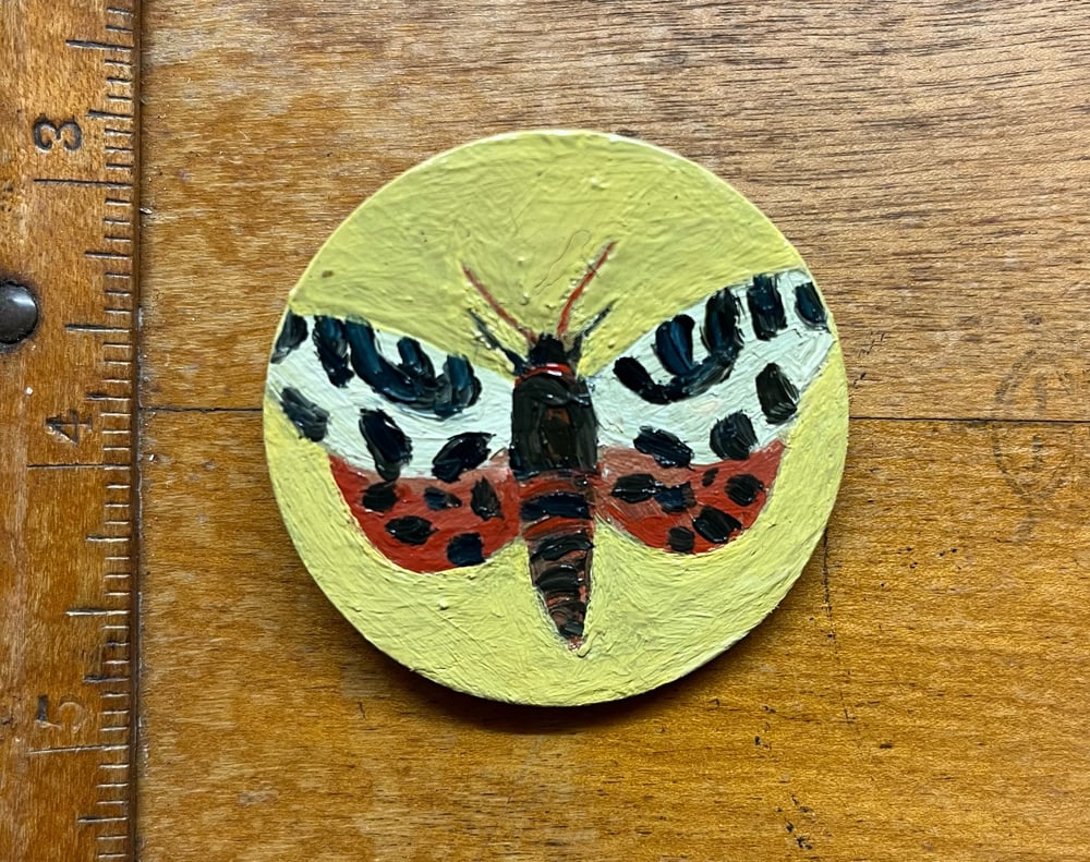 Image of Garden tiger moth 