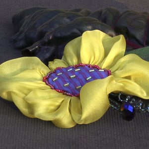 Image of T93 Tuesday’s Flower