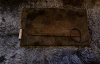 Image 4 of Botanical Printed Felt Tool Wrap #7