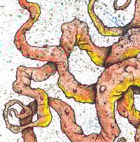Image 3 of 'The Mouth Breather' print