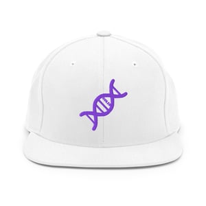Image of Purp Solid Helix Snapback