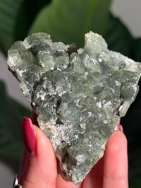 Image 2 of BOWTIE PREHNITE -INDIA- H