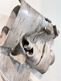 Image 4 of Silver Birch Scroll- Lenore Lampi