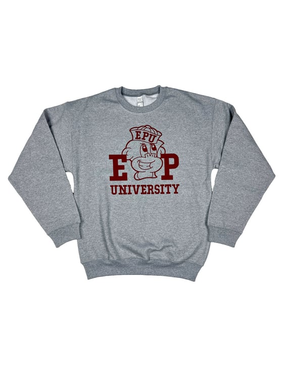 Image of Enigma Project University CrewNeck.