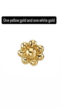 Image 3 of BVLA recently added 