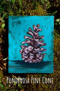 Image 3 of Pinecone Studies