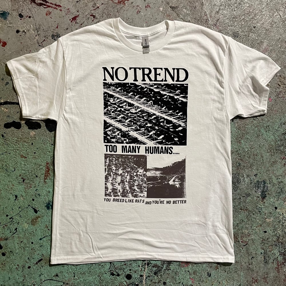 No Trend