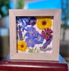 Delphinium, Calendula, Veronica, Zinnia & Pansy Wildflower Art In 6" X 6" Shadow Box (Item# 202305S)