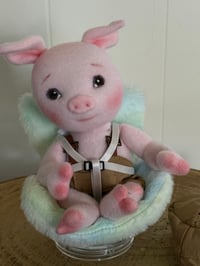 Image 2 of Spencer, Little Bitty Piglet
