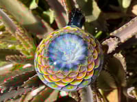 Image 1 of rainforest rainbow 