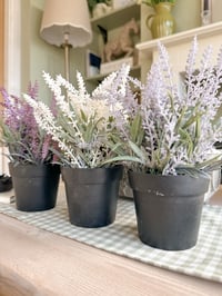 Image 1 of Country Heather ( Set or Singles )