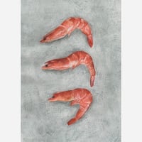 Image 1 of Prawns 