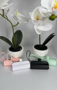 On the go pocket chargers (dual use) 