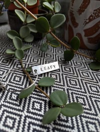 Image 1 of Leafy Keyring