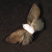 Image of T71  Pink/Brown Bug  