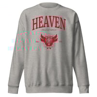 Image of Pursuit of Euphoria - Grey Sweatshirt