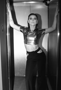 Image 1 of Metallic silver crop