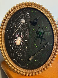 Image 4 of Wicked Collection