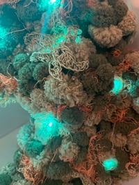 Image 3 of Afghani Bullrider 10" Wreath