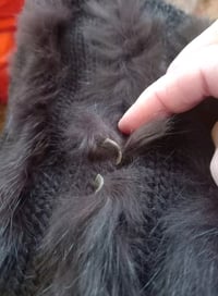 Image 8 of Ladies Real Fur & Wool Brown Poncho Size S/M