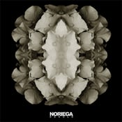 Image of NORIEGA "Desolo" - Digipak CD