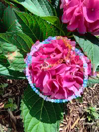 Image 1 of Dolphin Girl 