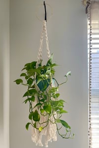 Natural Fringe Plant Hanger 