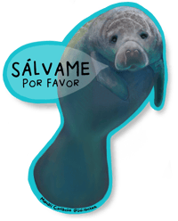 Image 1 of Save the Manatees | Sticker