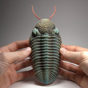 Eldredgeops Trilobite Resin Sculpture