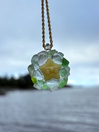 Image 1 of star gazer
